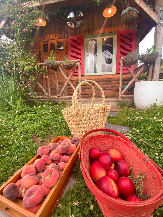 Meena Bagh Ratnari- An Apple Orchard Bungalow Bagi Екстер'єр фото