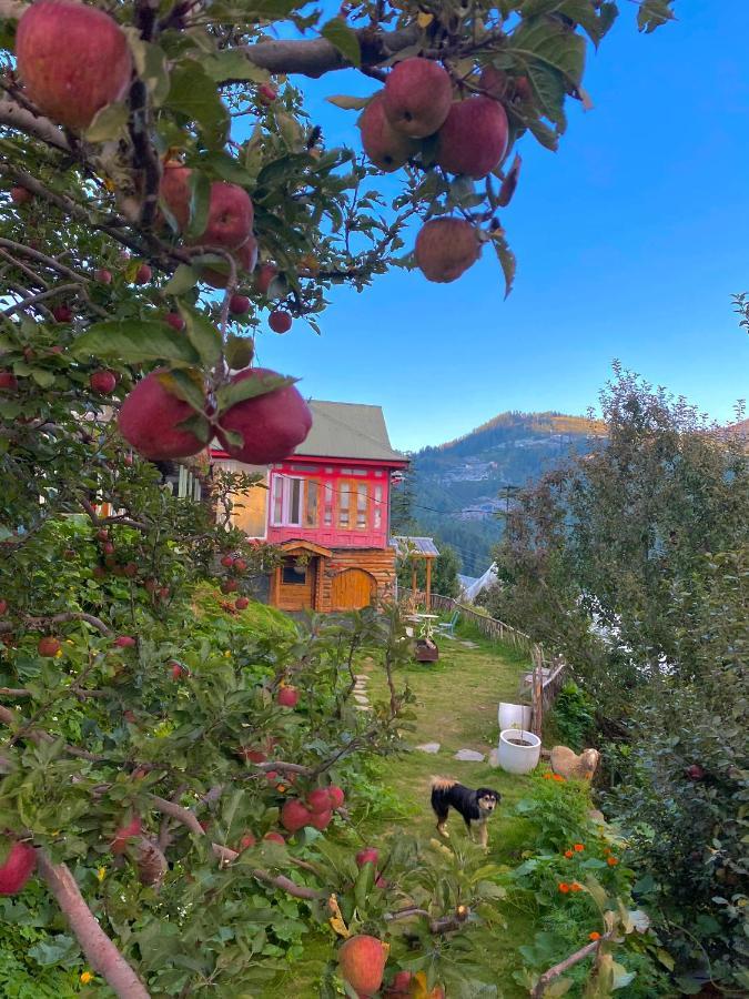 Meena Bagh Ratnari- An Apple Orchard Bungalow Bagi Екстер'єр фото