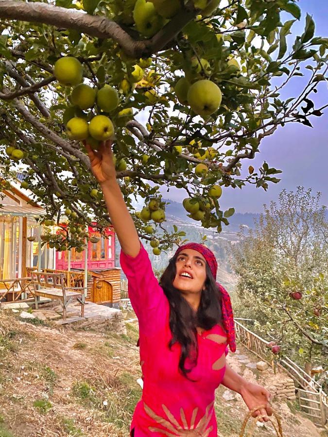 Meena Bagh Ratnari- An Apple Orchard Bungalow Bagi Екстер'єр фото