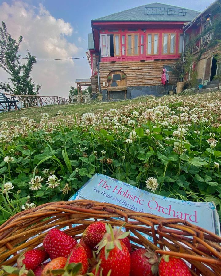 Meena Bagh Ratnari- An Apple Orchard Bungalow Bagi Екстер'єр фото